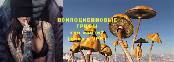 spice Армянск